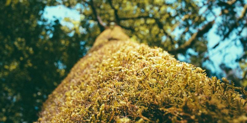 工业互联网的“高铁时刻表”:确定性网络(DetNet)如何保障端到端毫秒级延迟?