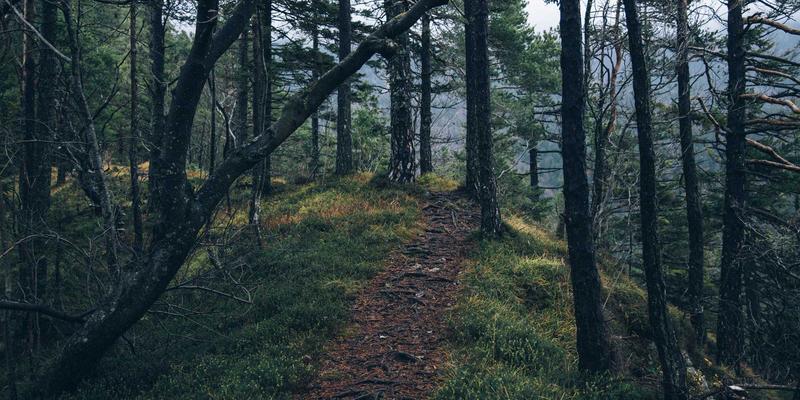 工业网络神经革命:TSN时钟同步与流量调度实战解析