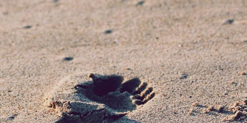 边缘革命：MEC如何重塑低延迟网络，为运维、资源与安全带来新范式