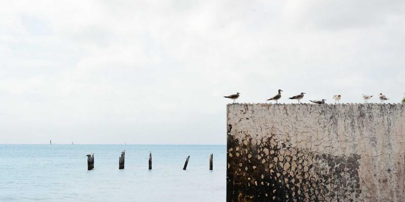 量子密钥分发(QKD)网络:原理、组网挑战与未来通信安全展望 | 技术深度解析